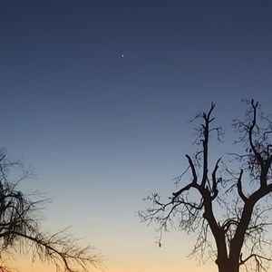 Meet your Posher, Eva